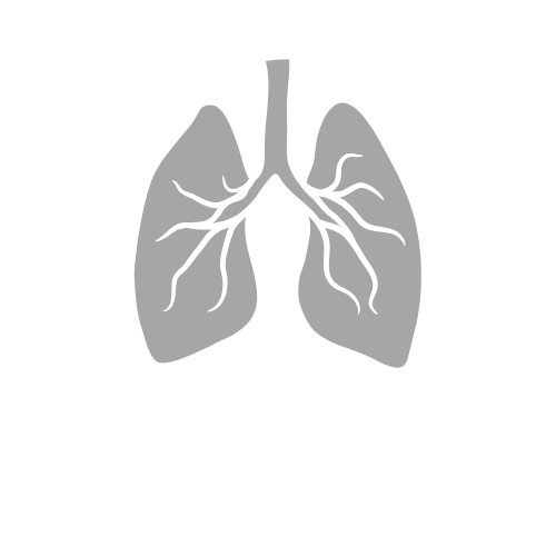 SteelBodi